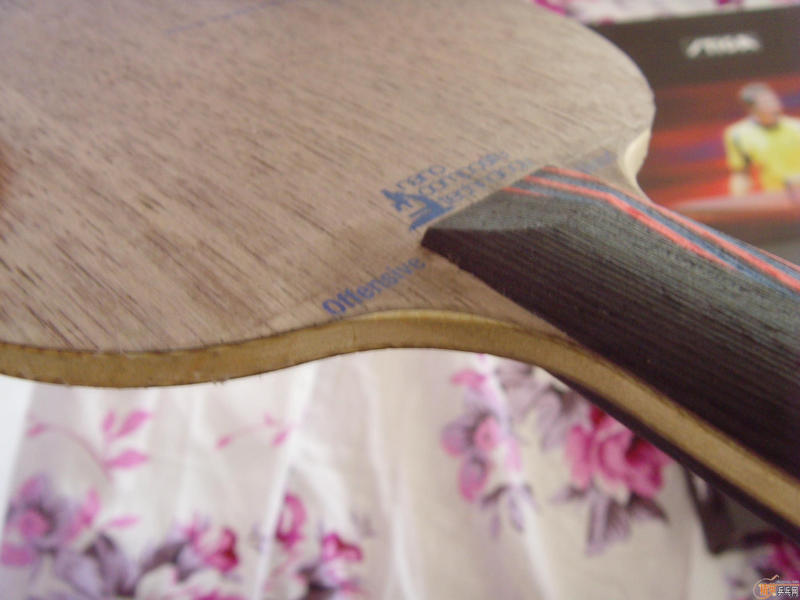 ���һ�εĳ�������OC,����!!!!250Ԫ!!!!!!!!!