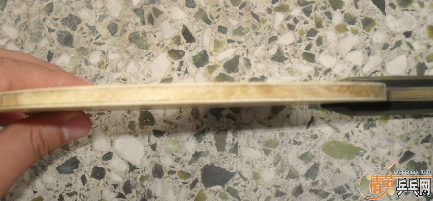 ���۳�PALIO TT