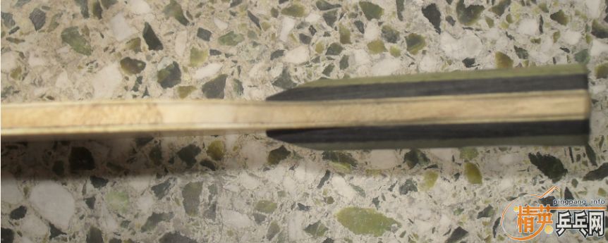 ���۳�PALIO TT