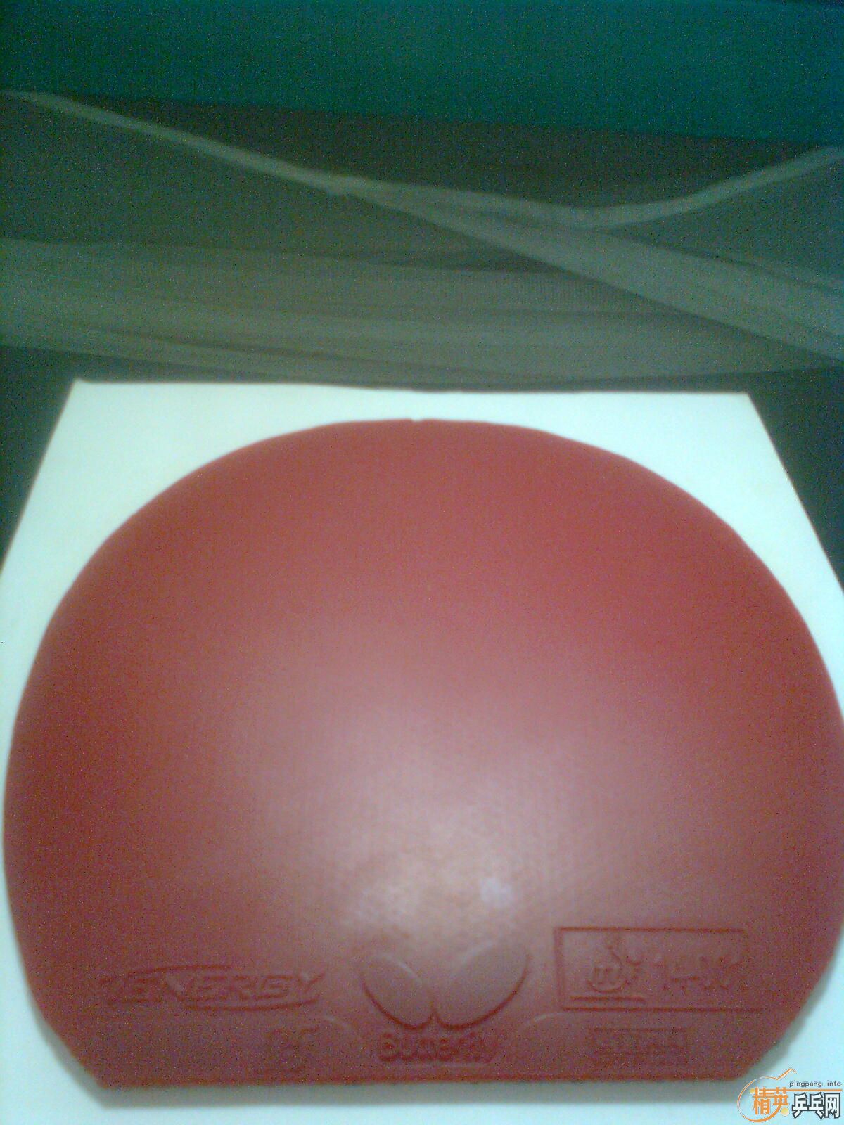 ��t05���죬2.1