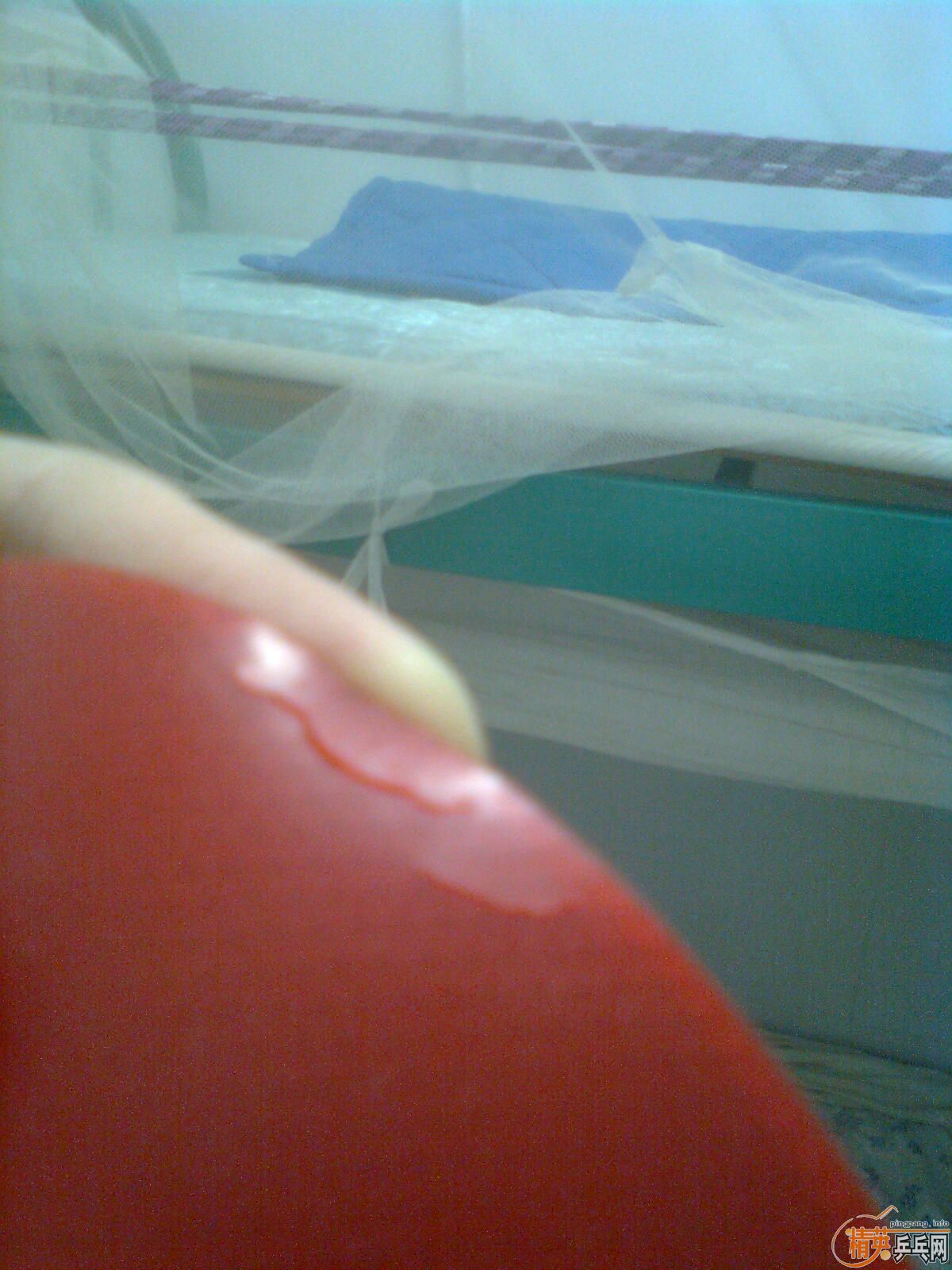 ��t05���죬2.1