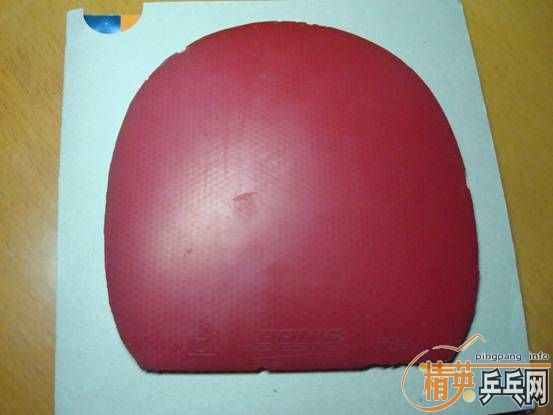 ���SPEED   �� �����F1 ��ʡ����