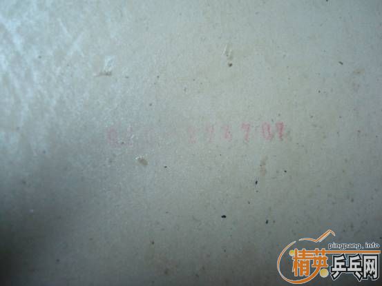 ���SPEED   �� �����F1 ��ʡ����