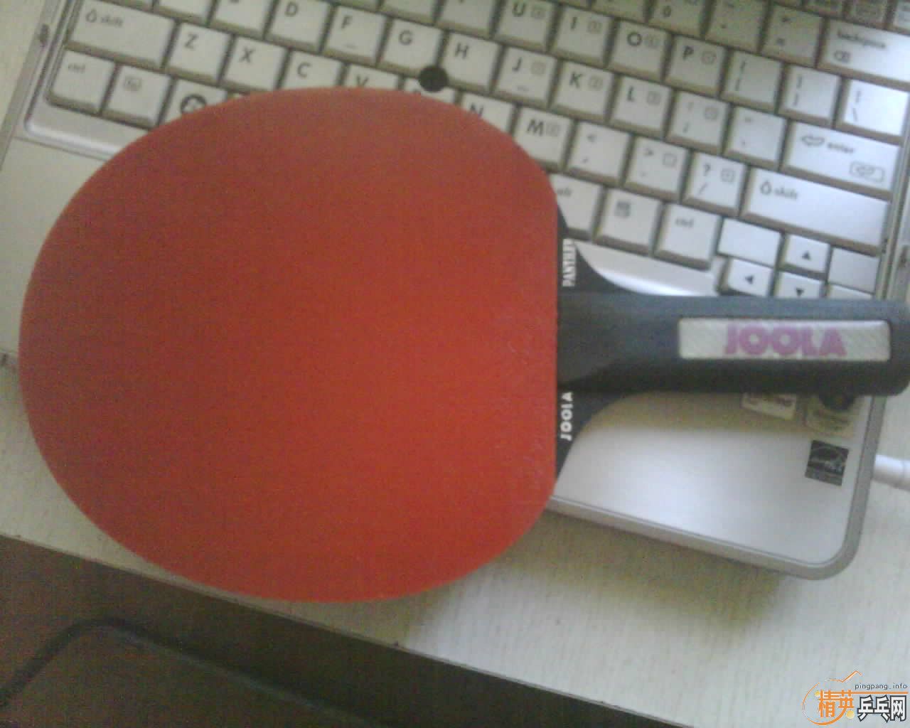 JOOLA PANTHER ڱ()
