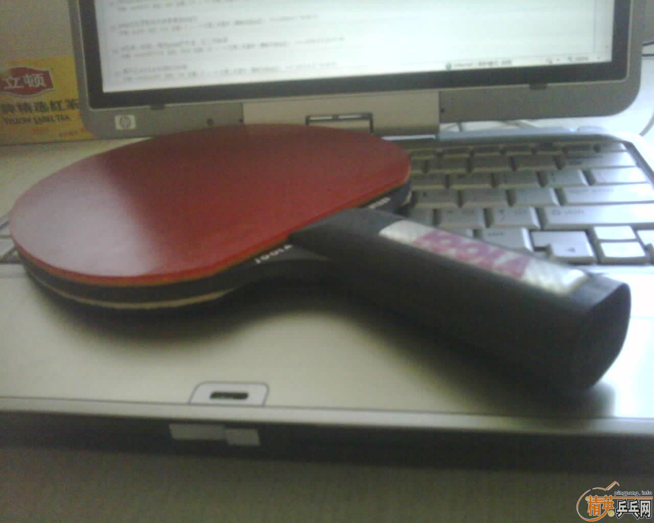 JOOLA PANTHER ڱ()