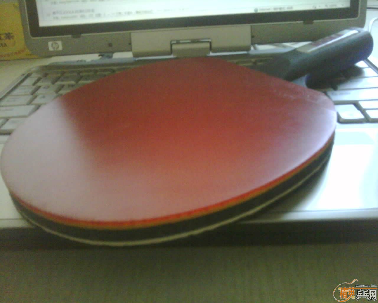 JOOLA PANTHER ڱ()