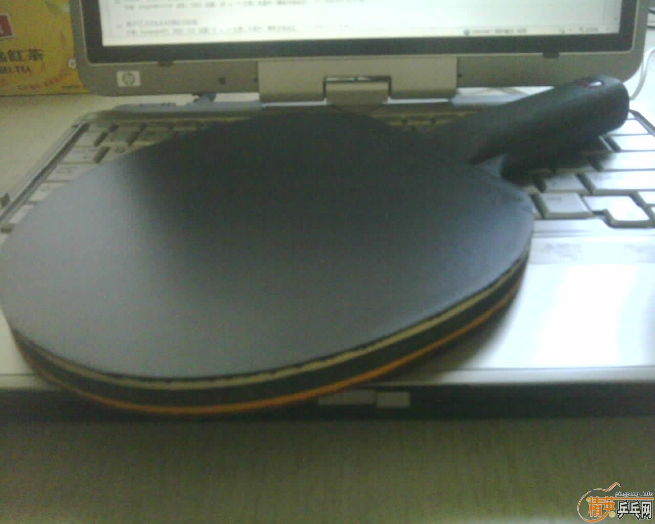 JOOLA PANTHER ڱ()