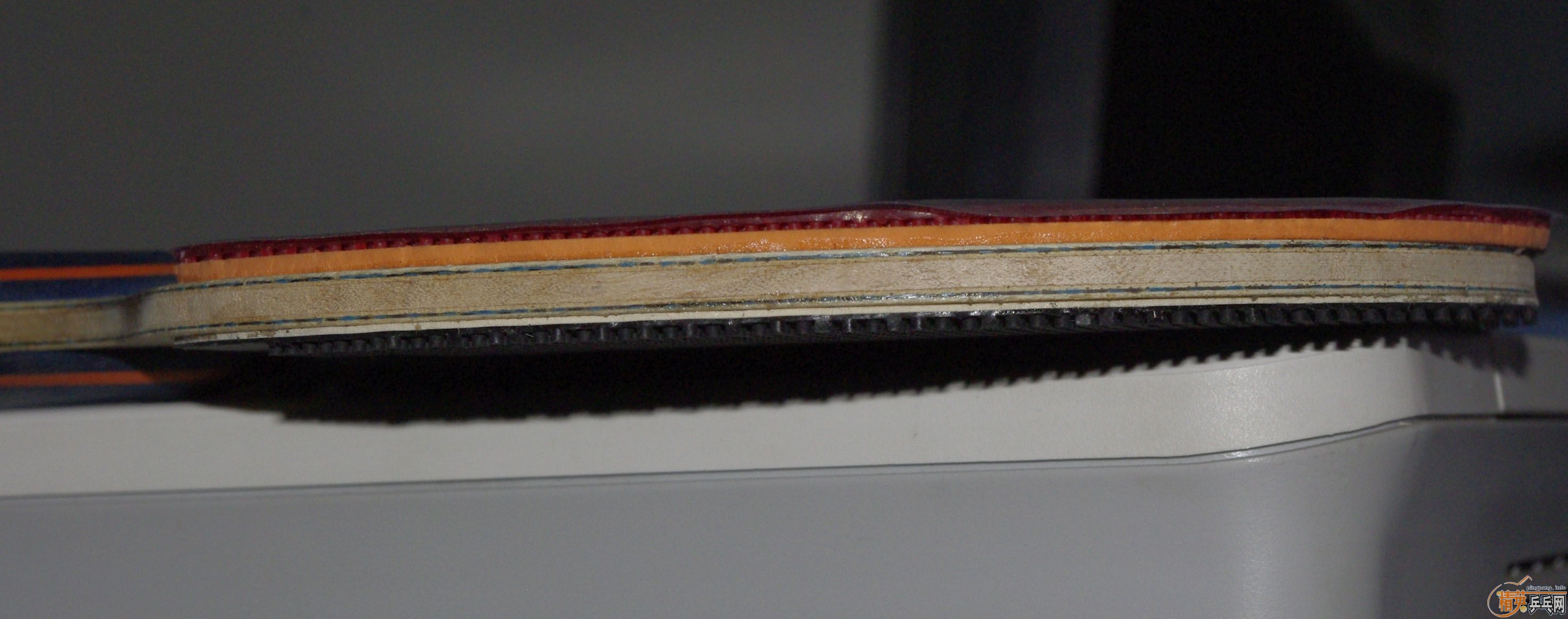 �Գ�Timo boll Spirit ��ɫ��615����