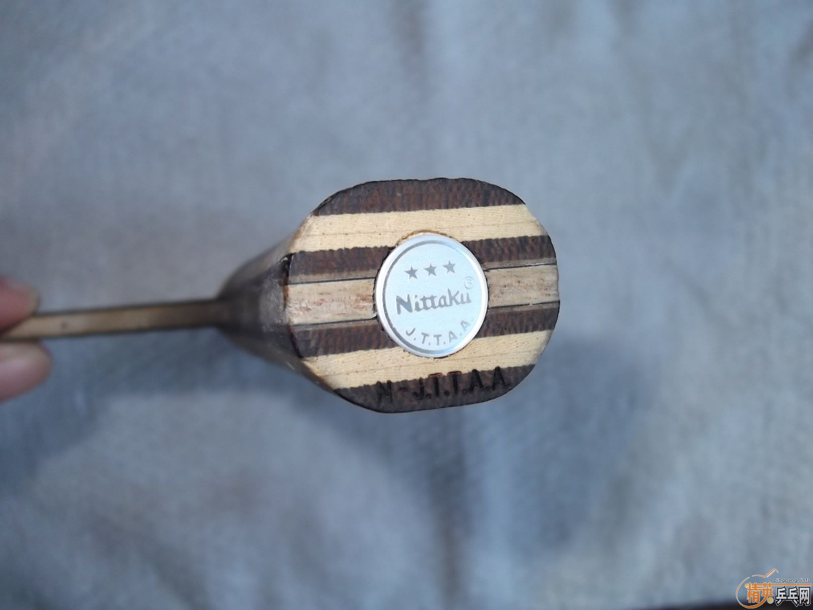 ����NITTAKU  RUTIS  FL  360Ԫ���ʣ�֧��֧����