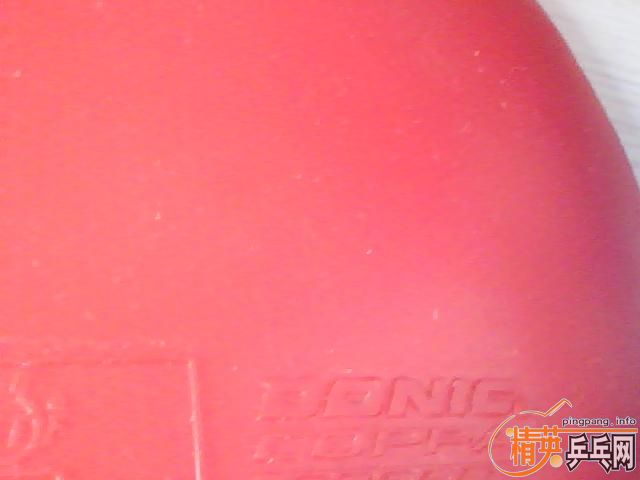 �����COPPA SPEED������2��729һ������