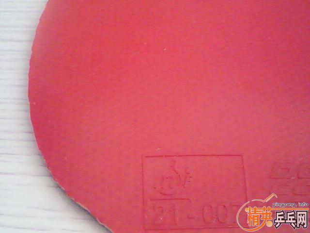 �����COPPA SPEED������2��729һ������