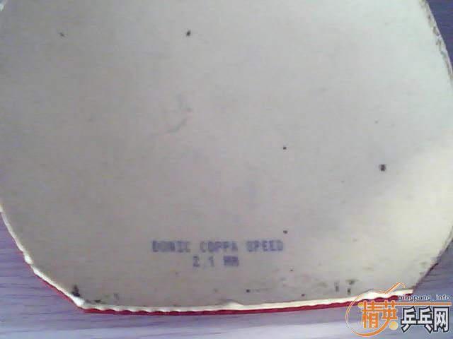 �����COPPA SPEED������2��729һ������