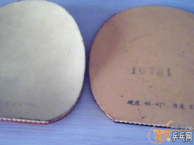 �����COPPA SPEED������2��729һ������