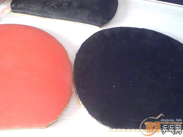 �����COPPA SPEED������2��729һ������