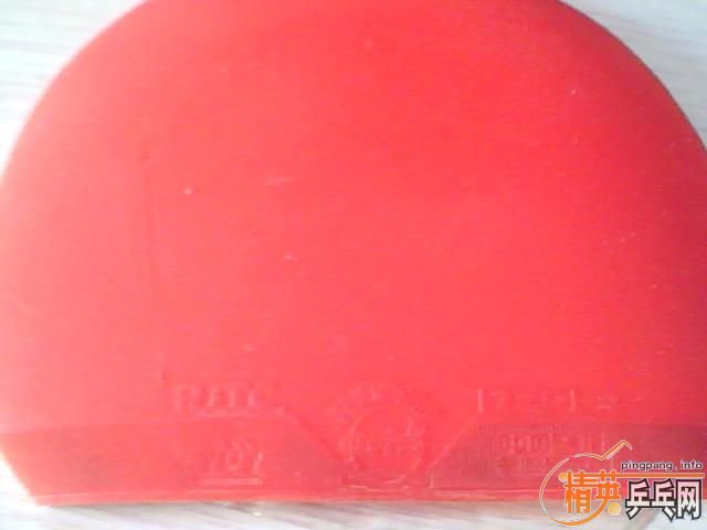 �����COPPA SPEED������2��729һ������