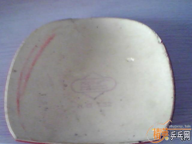 �����COPPA SPEED������2��729һ������