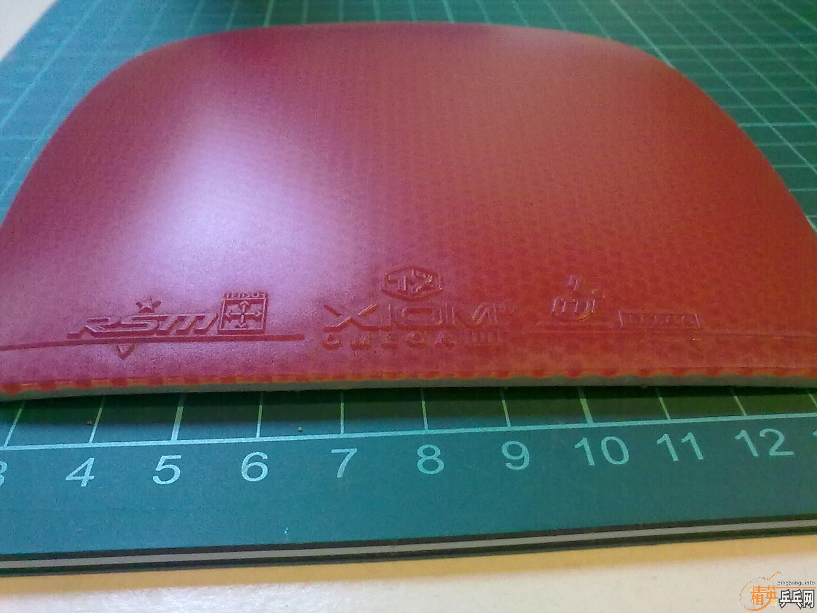 ��Xiom Omega 3 ���ް����max,��ɫ,180,������