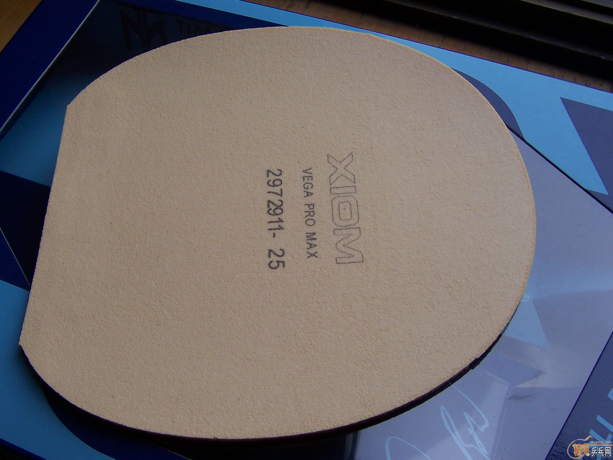 ���� donic baracuda��vega pro