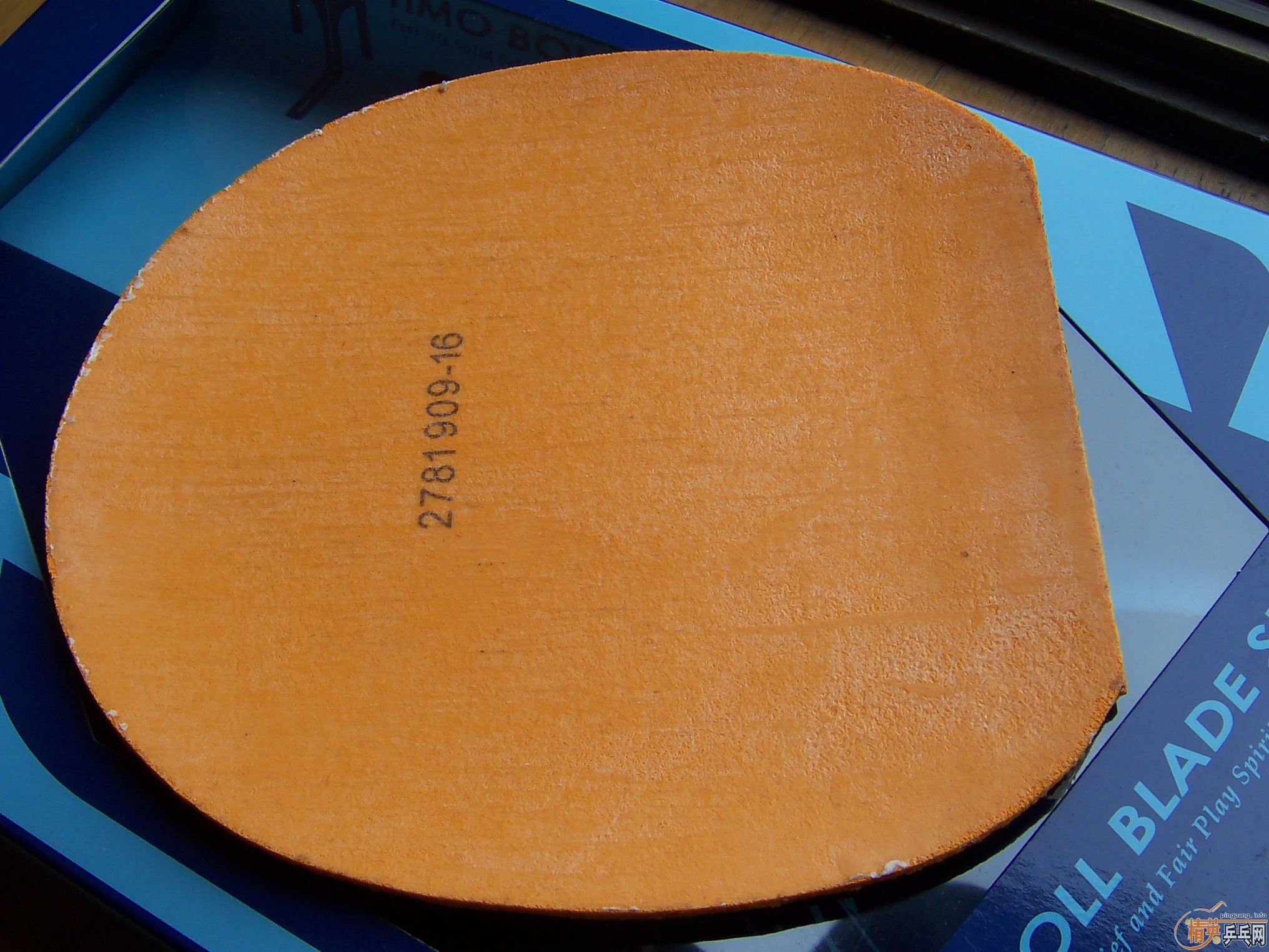 ���� donic baracuda��vega pro