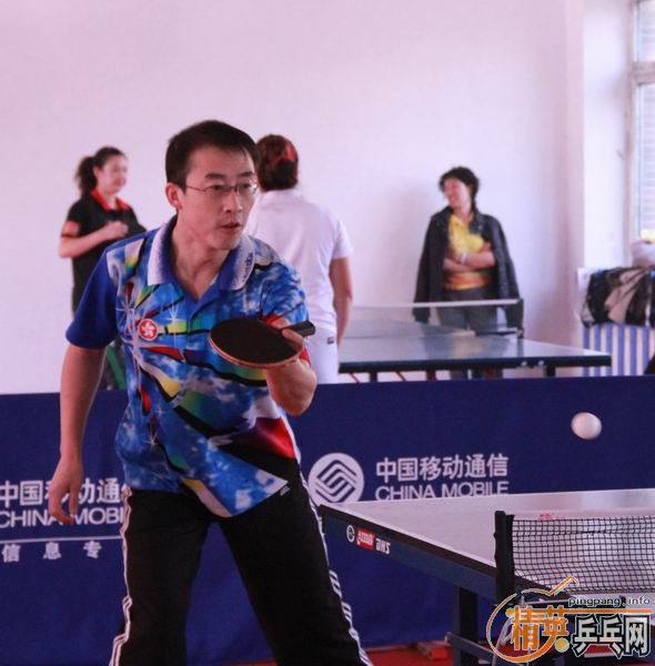 ��Ӣ���µü�����ƹ������ֲ�������Ƭ ������ ��