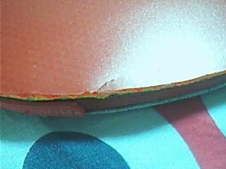 ���������������׺�ɫ