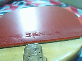 ���������������׺�ɫ