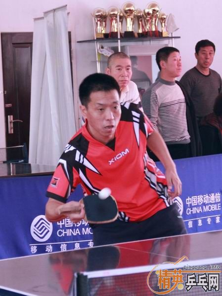 ��Ӣ���µü�����ƹ������ֲ�������Ƭ ������ ��