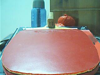 ���������������׺�ɫ