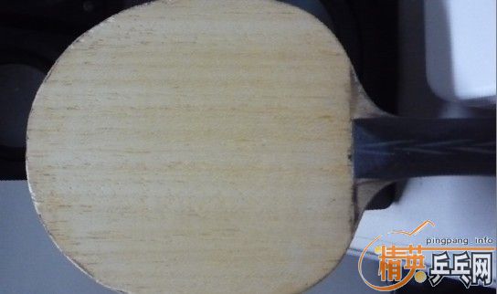 ��������ɭ