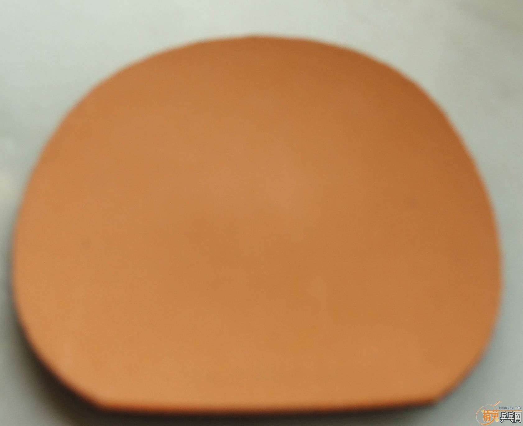 joola tango extrem����̽�ꡡ��Ƥ����