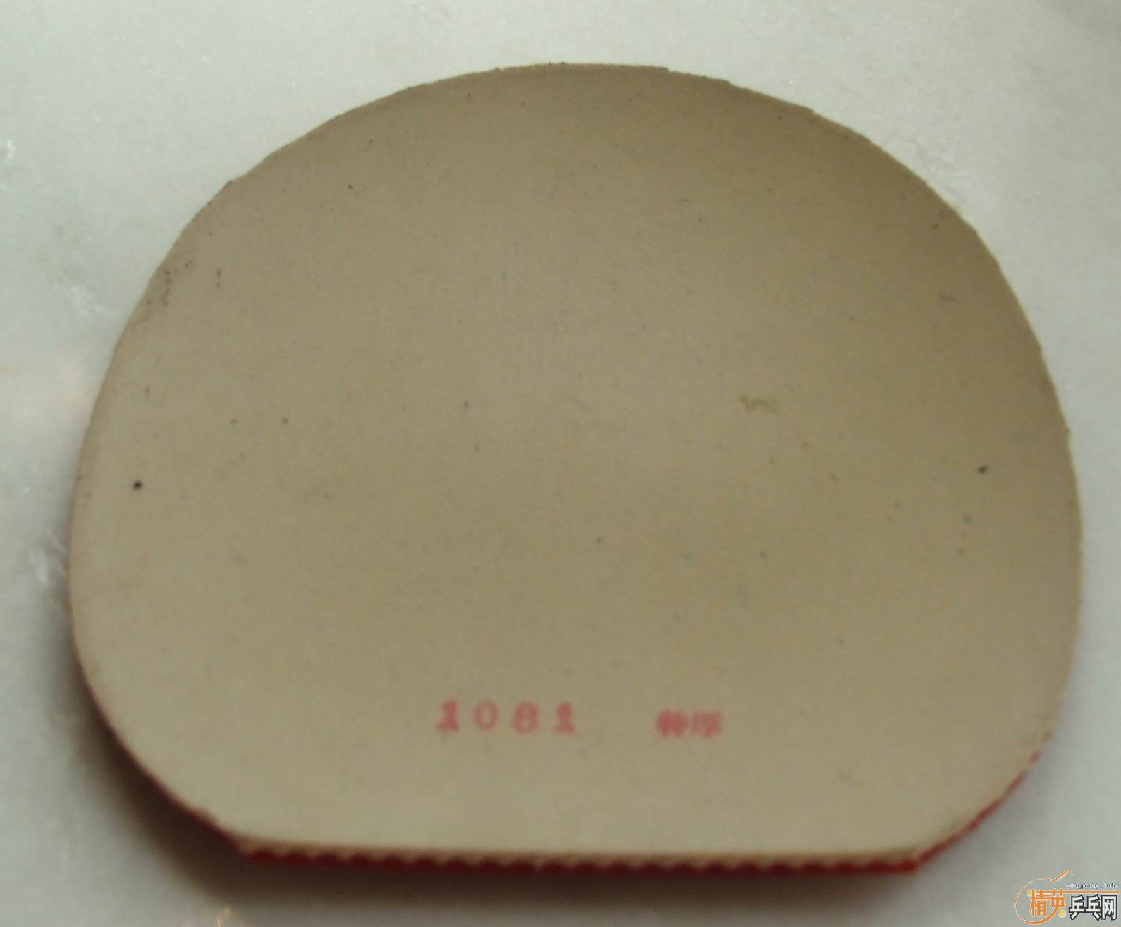 joola tango extrem����̽�ꡡ��Ƥ����