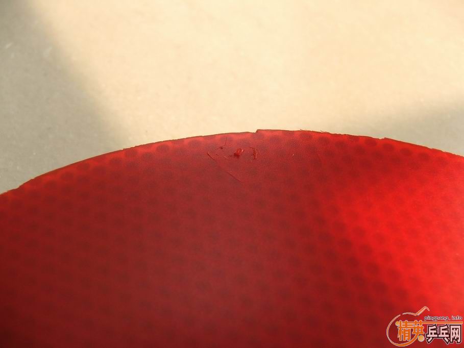 joola tango extrem����̽�ꡡ��Ƥ����