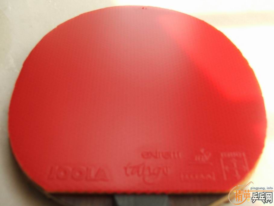 joola tango extrem����̽�ꡡ��Ƥ����