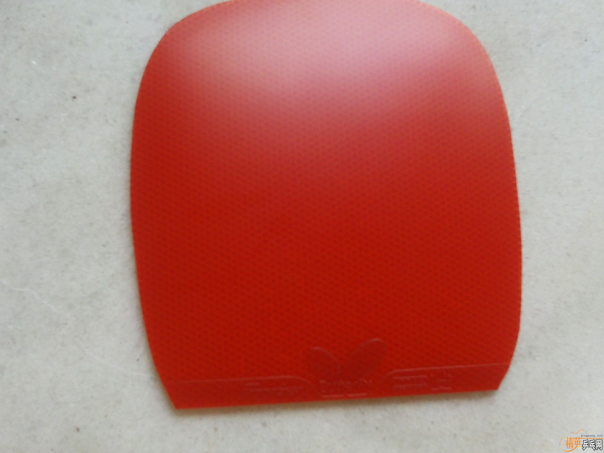 ����ֱ���