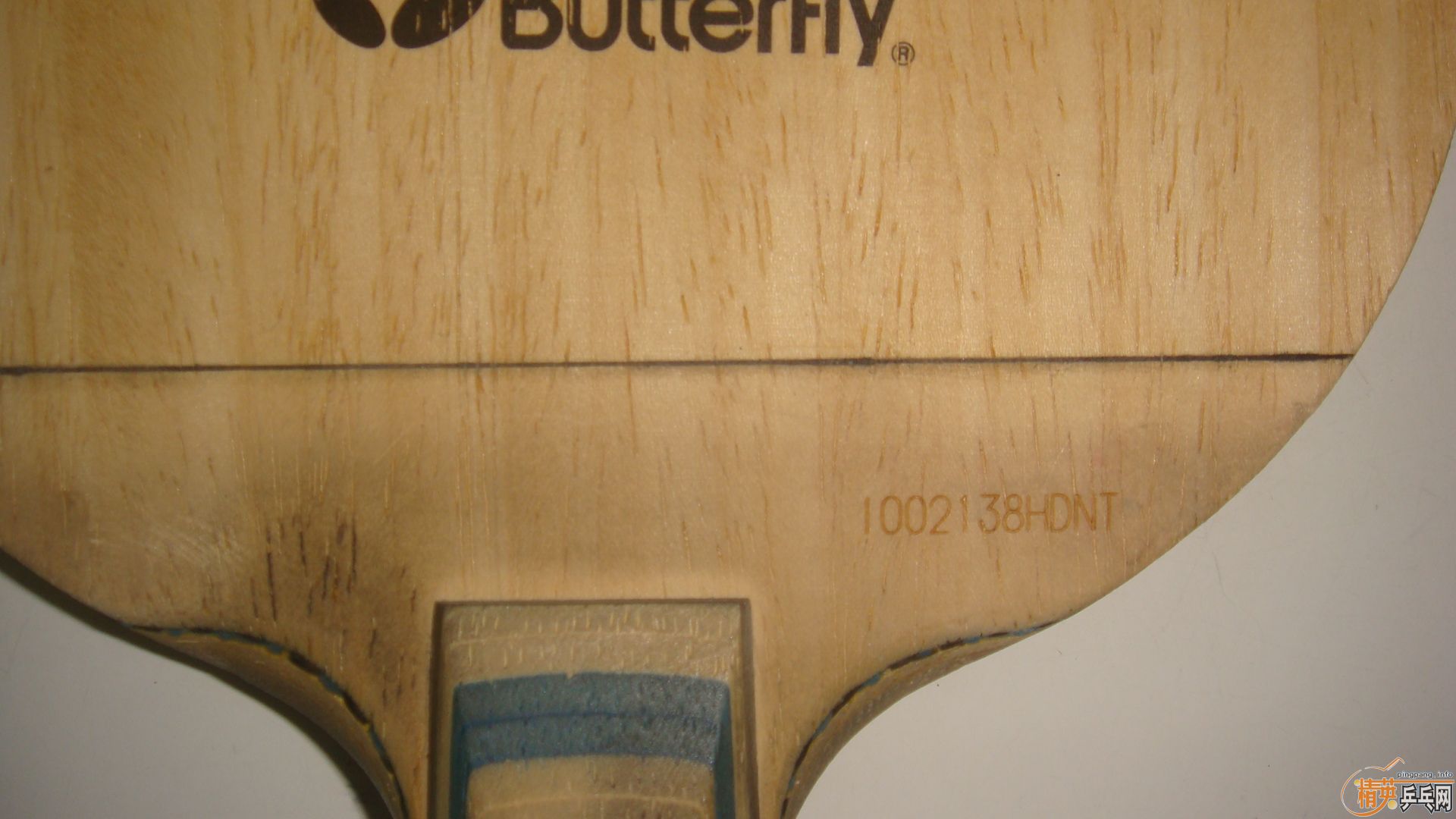 ���ֺ�����ֱ�� 500����