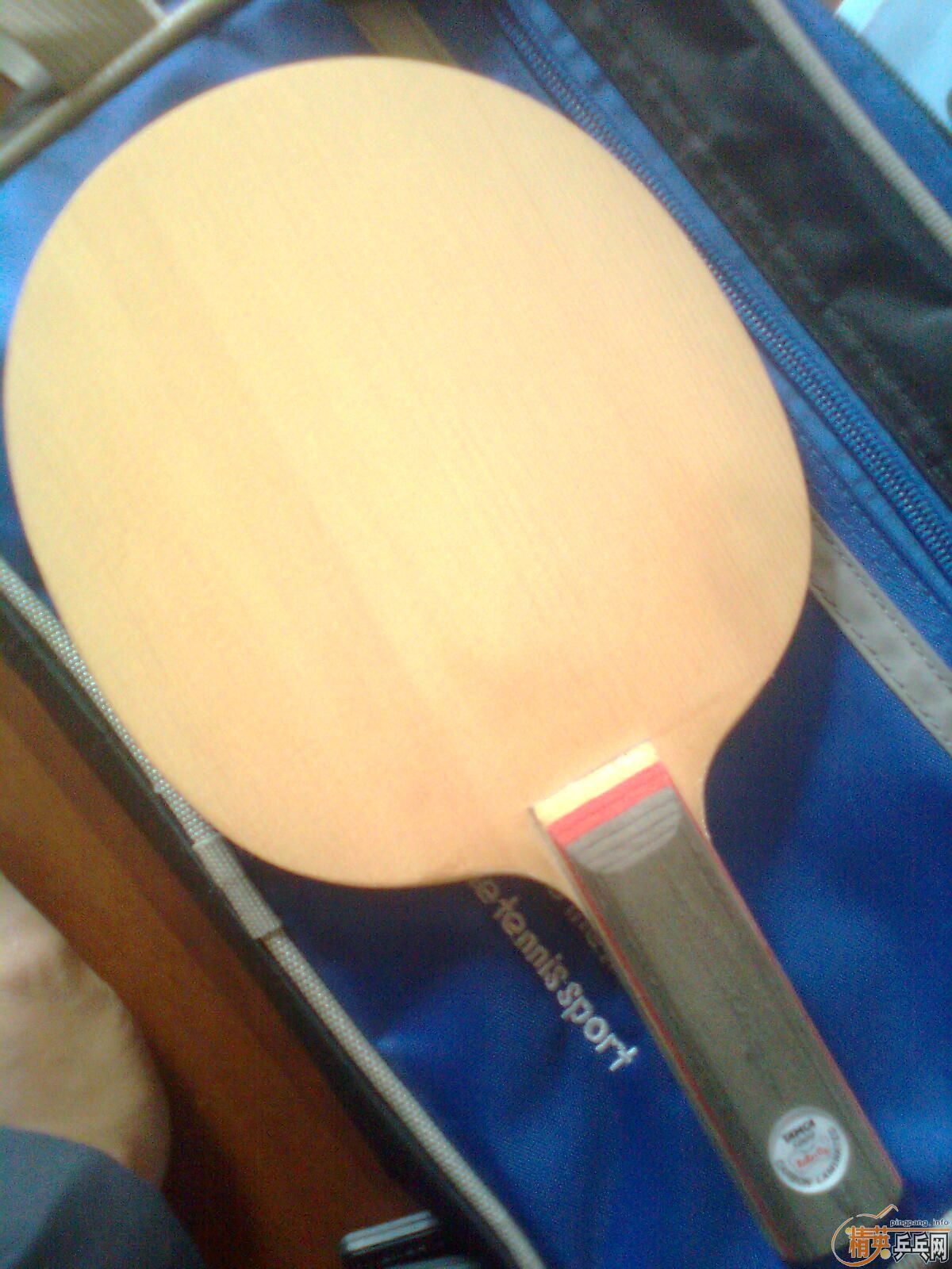 ��������������ST��̼  ֻ��ST����