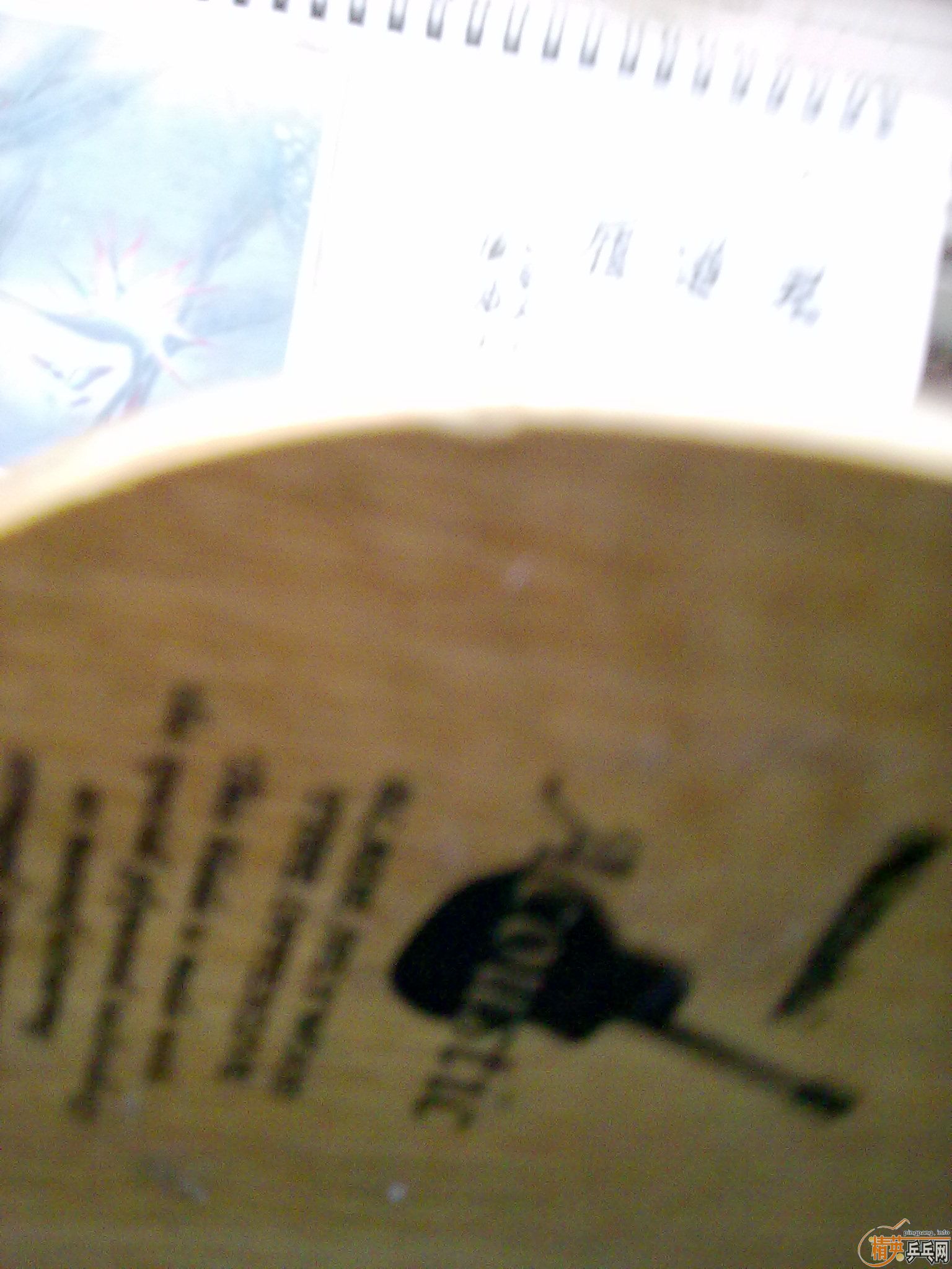 ��FLľ��������80�͹���������������