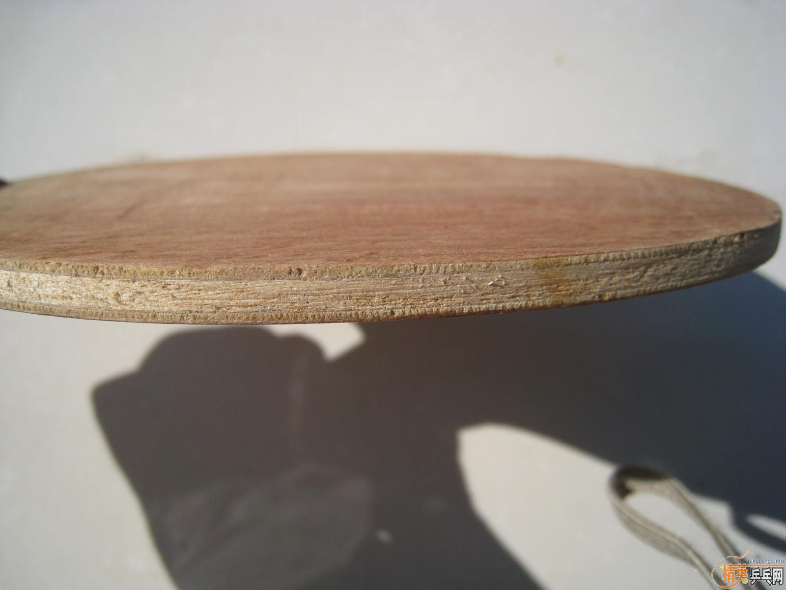 ��֪����˹�ۿ���ʲô�壿���������������������������