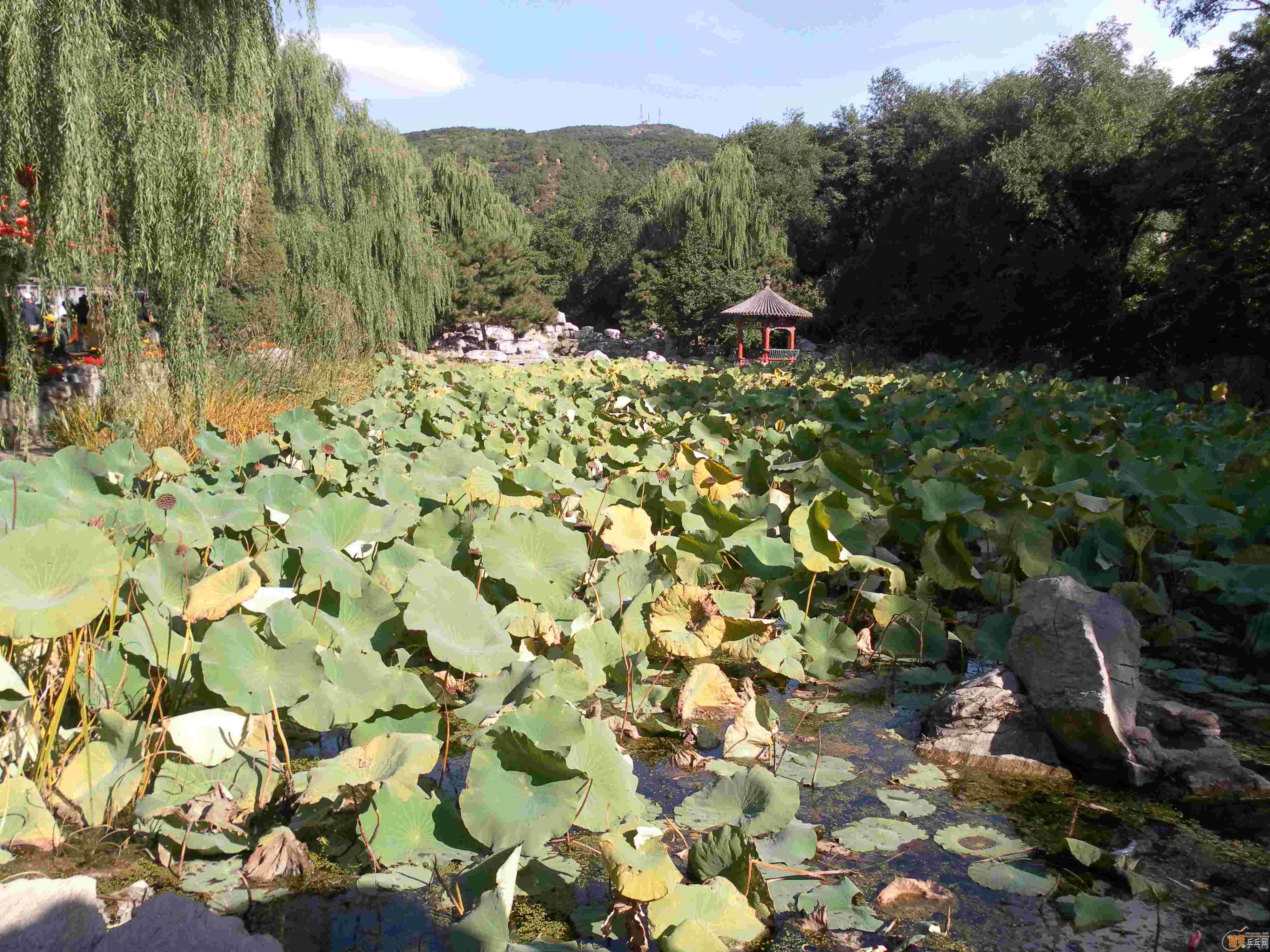 [ԭ��][��ͼ]�����˴󴦹�԰������Ե