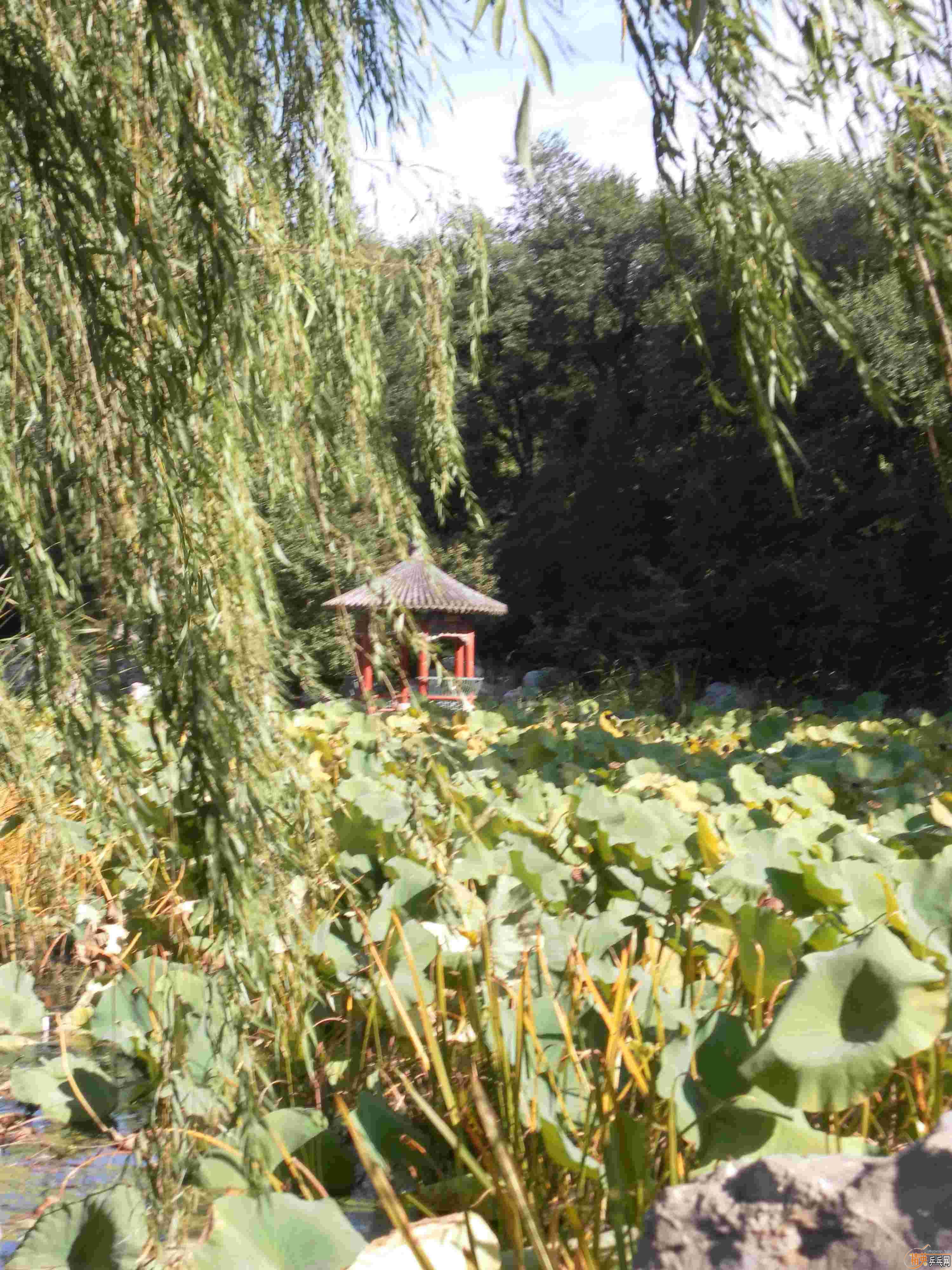 [ԭ��][��ͼ]�����˴󴦹�԰������Ե