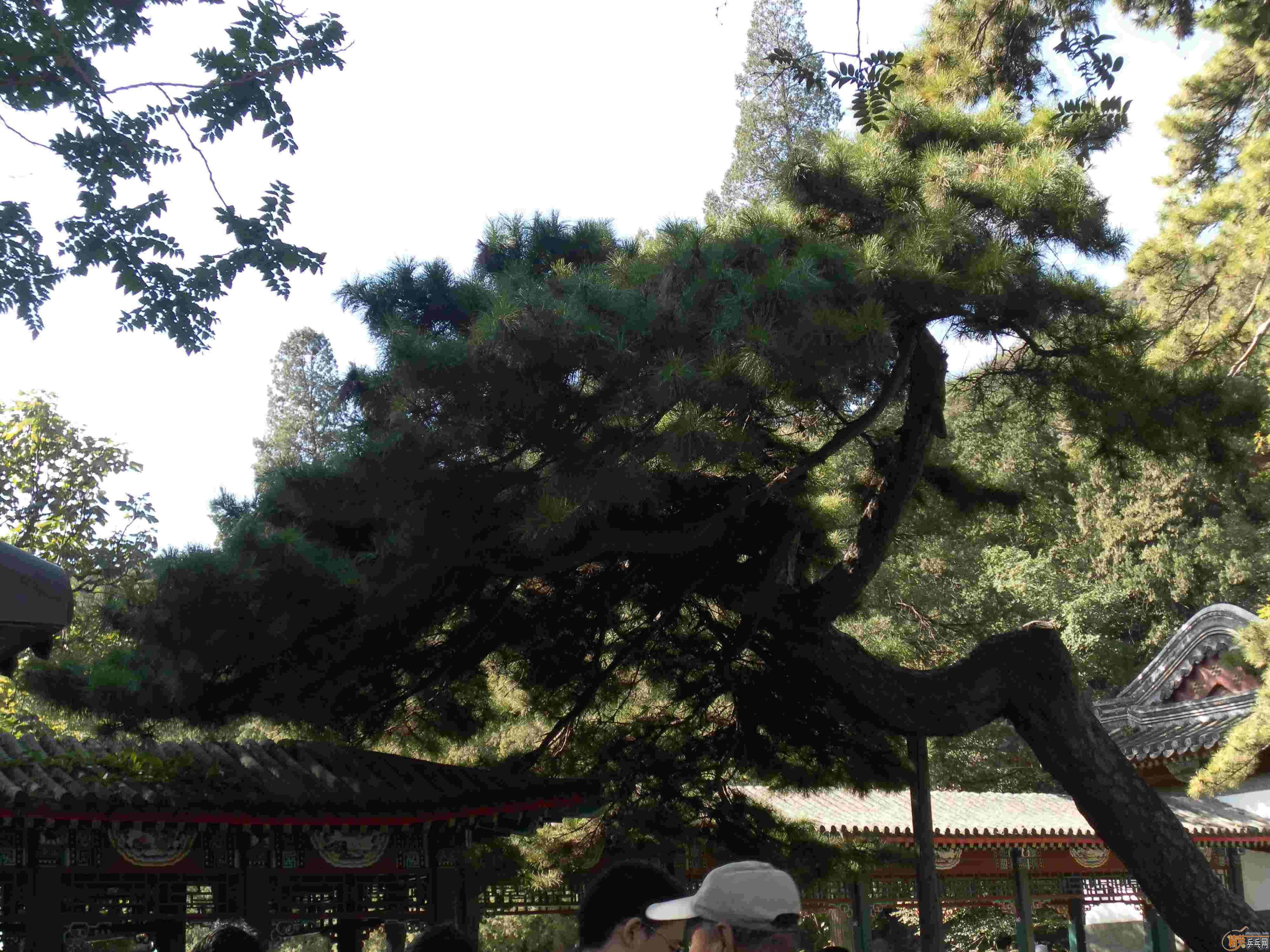 [ԭ��][��ͼ]�����˴󴦹�԰������Ե