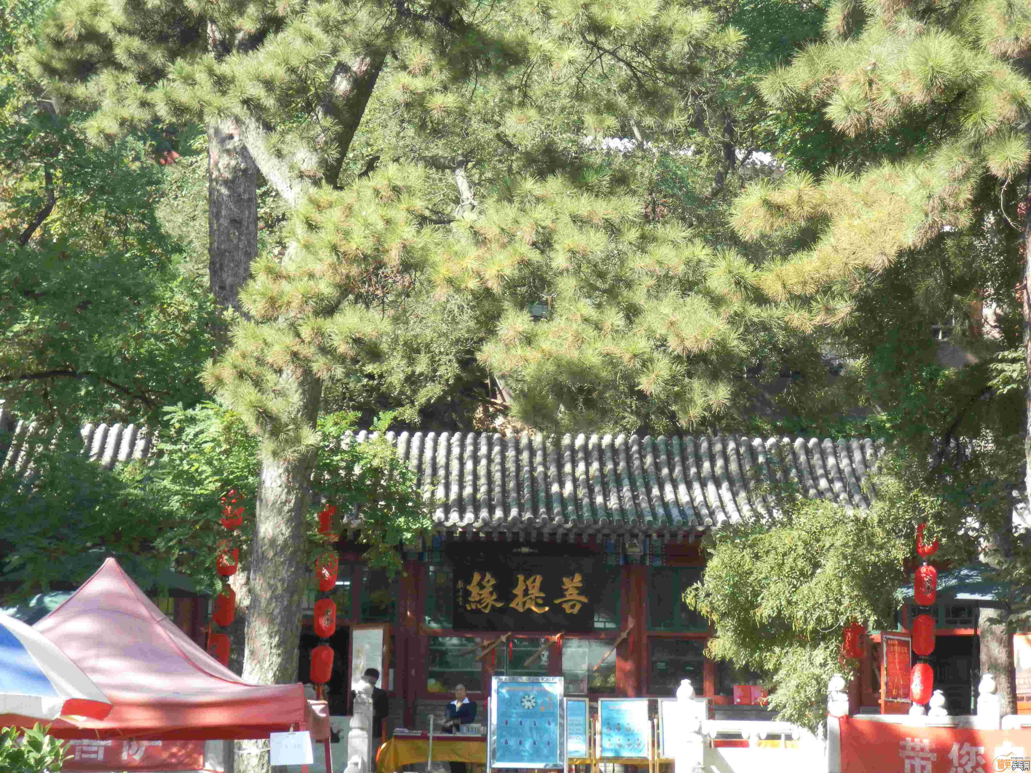 [ԭ��][��ͼ]�����˴󴦹�԰������Ե