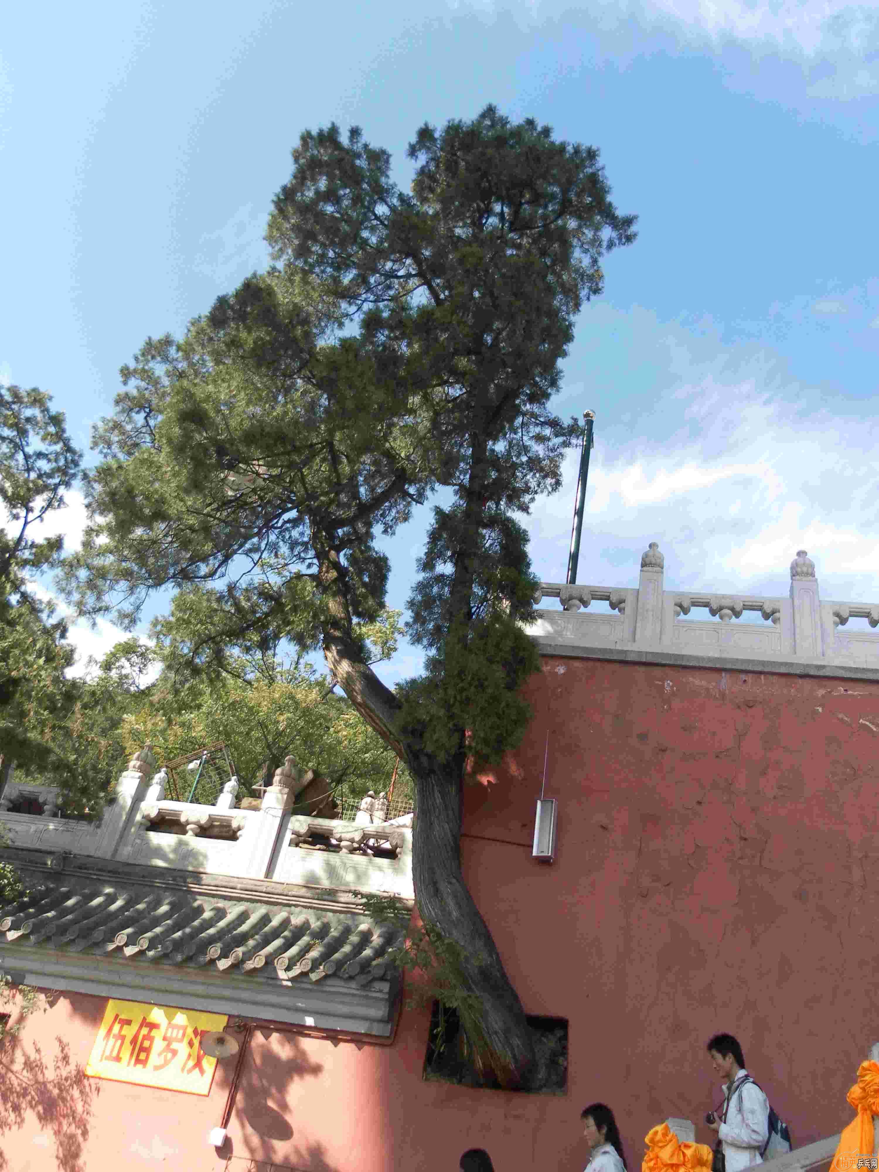 [ԭ��][��ͼ]�����˴󴦹�԰������Ե