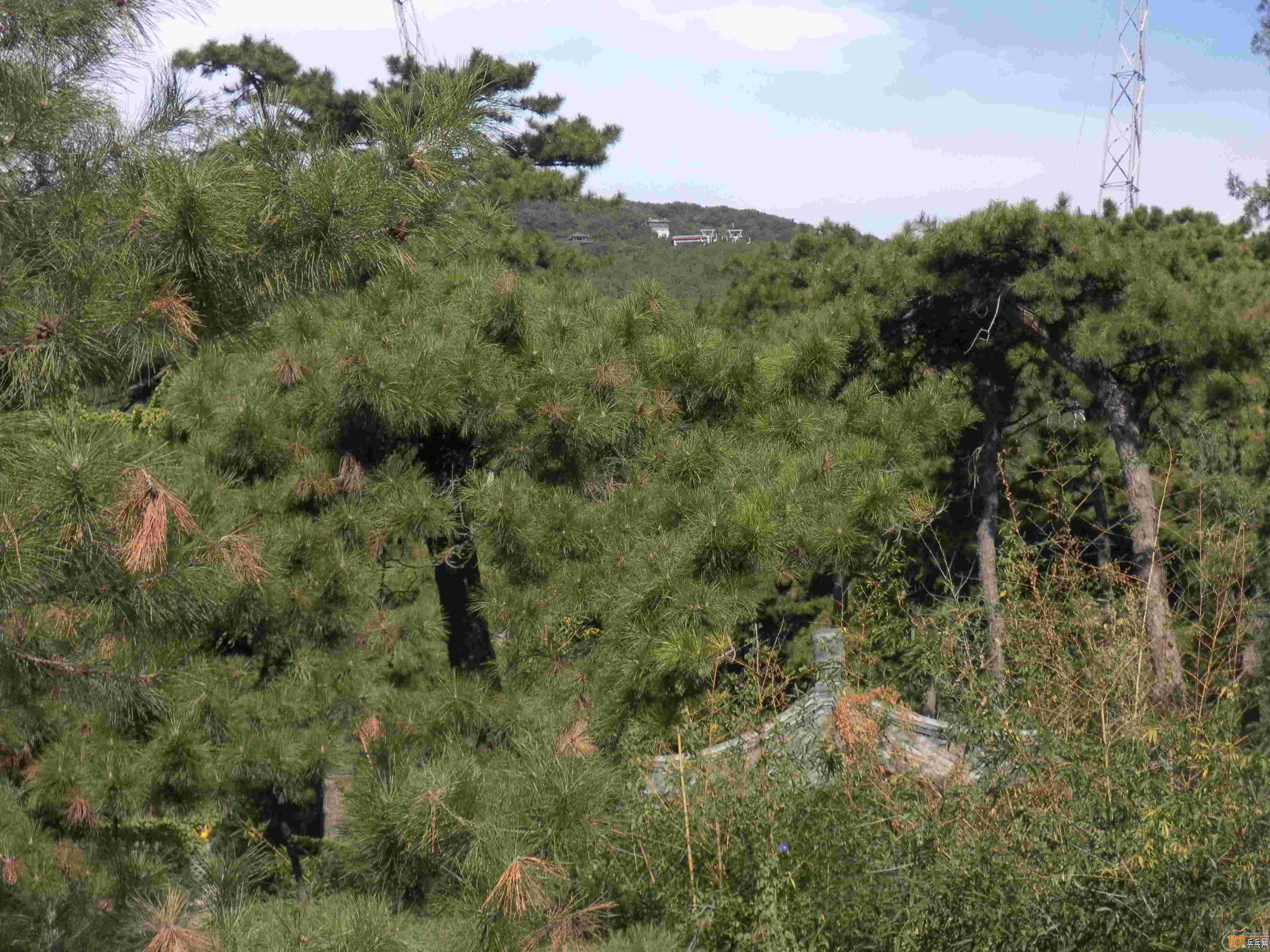 [ԭ��][��ͼ]�����˴󴦹�԰������Ե