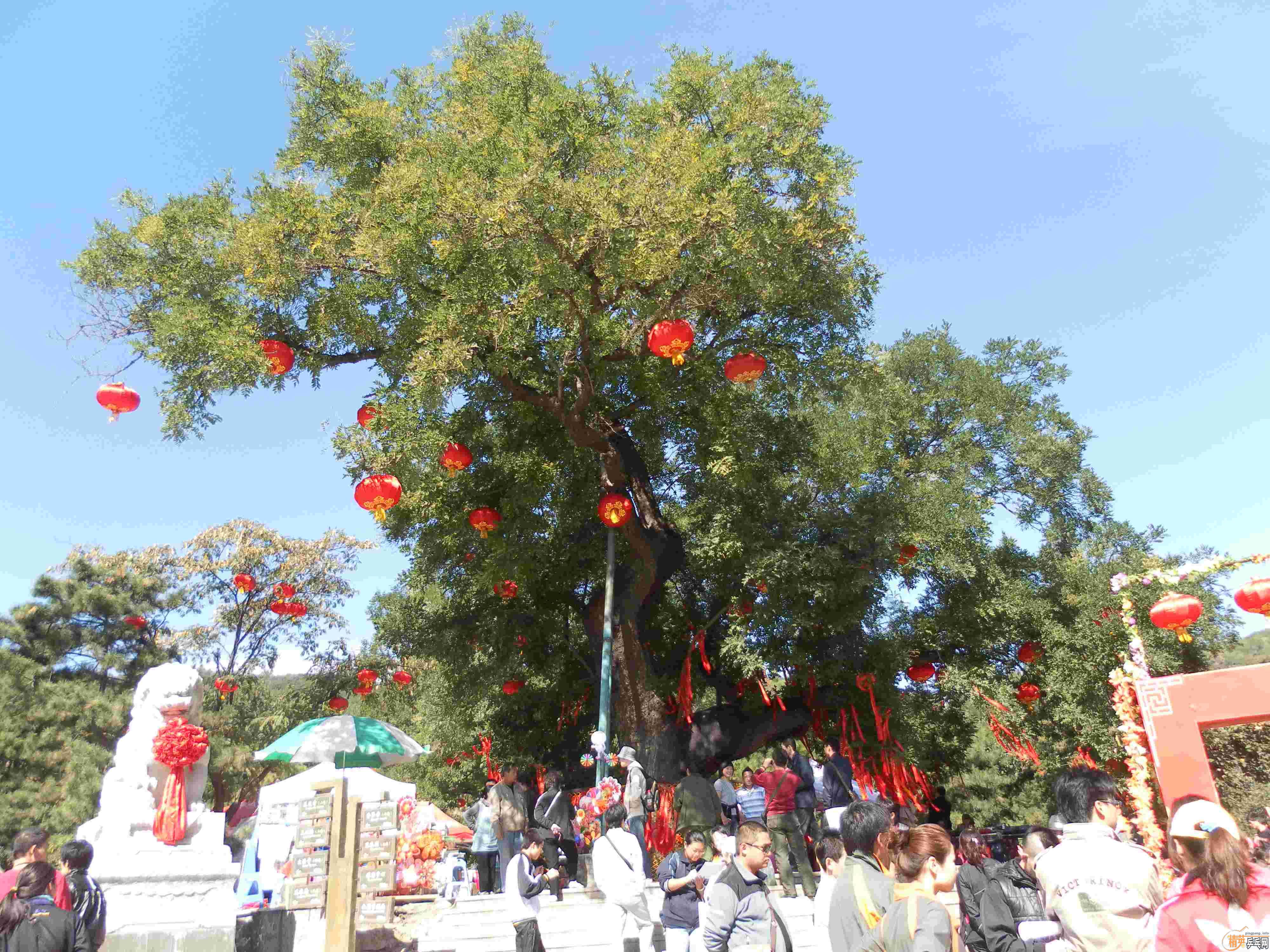 [ԭ��][��ͼ]�����˴󴦹�԰������Ե