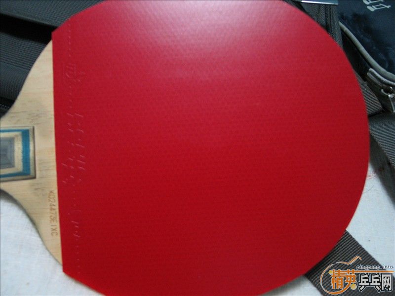 ��ֻ����һ�εĶ����F1��Ƥ