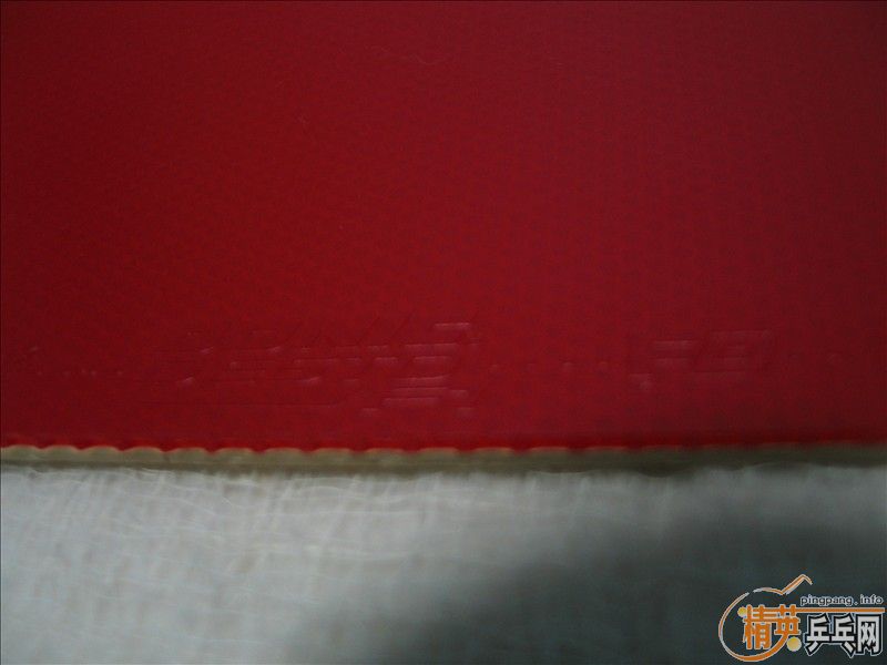 ��ֻ����һ�εĶ����F1��Ƥ