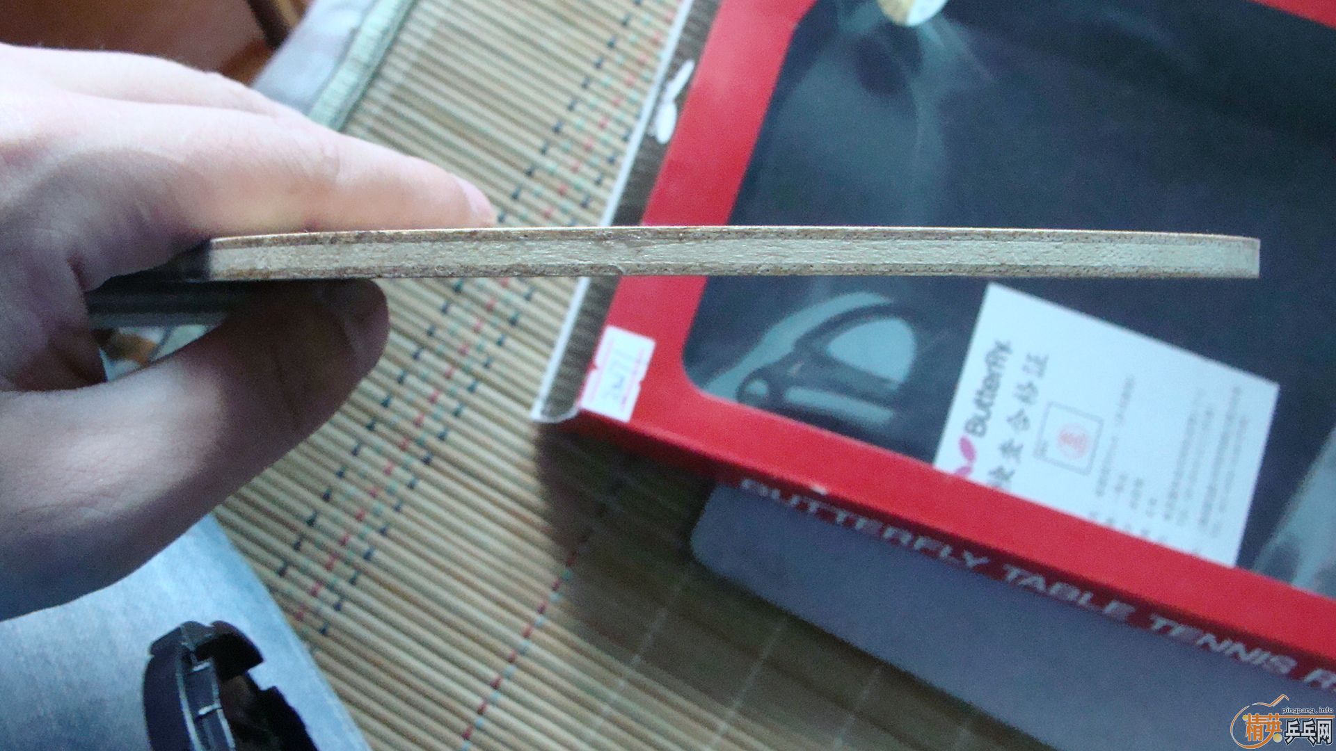 [ԭ��]  9 �׽�  FL  �Ʊ��� ������ �������