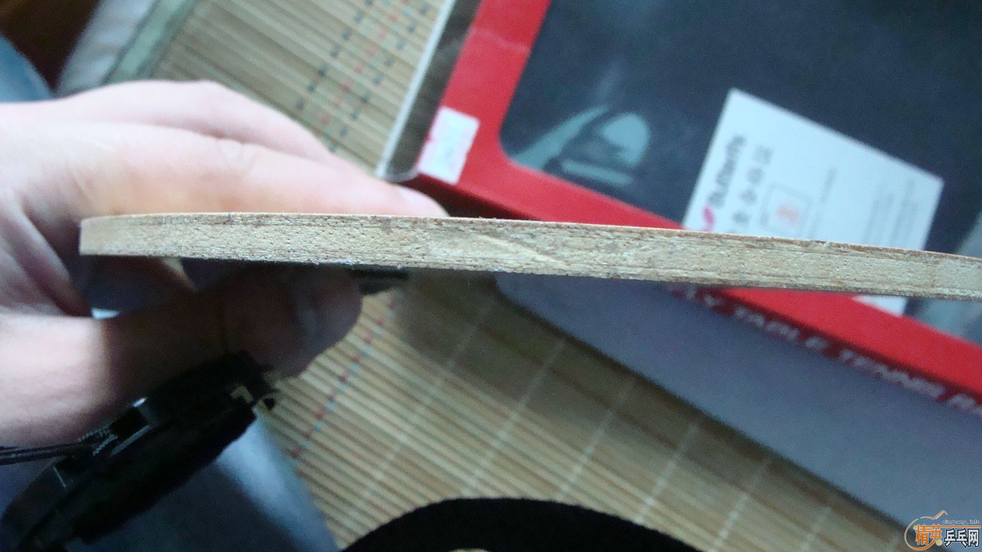 [ԭ��]  9 �׽�  FL  �Ʊ��� ������ �������