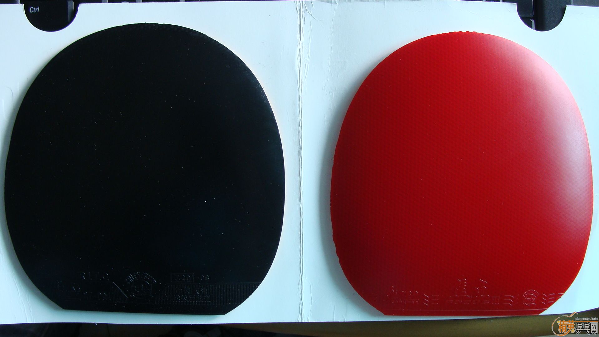 [ԭ��]  9 �׽�  FL  �Ʊ��� ������ �������